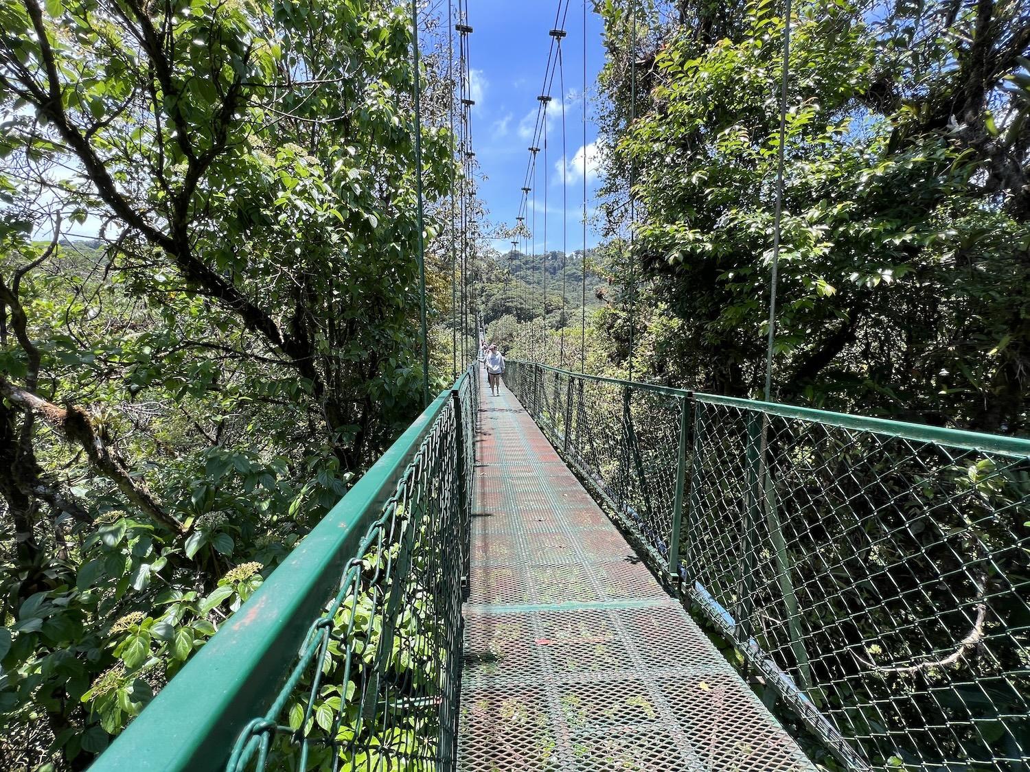 At Selvatura Park, people walk through the cloud forest on eight hanging suspension bridges.