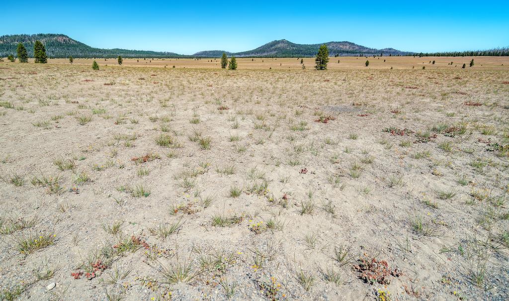 The broad expanse of Pumice Desert, Crater Lake National Park / Rebecca Latson