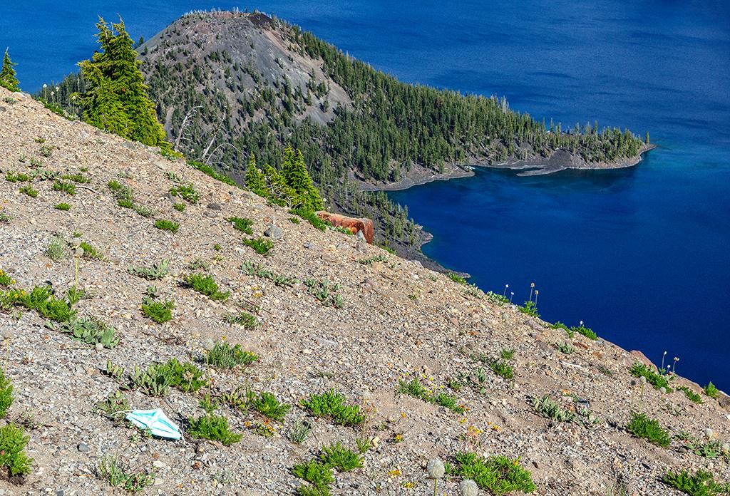 A new type of trash, Crater Lake National Park / Rebecca Latson