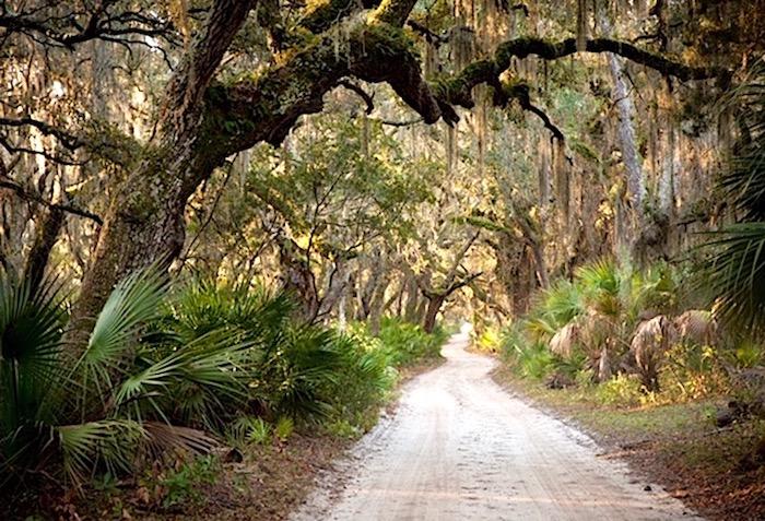 Cumberland Island, as bucolic as it is, a reminder of the past, is at threat from a proposed spaceport/NPS file