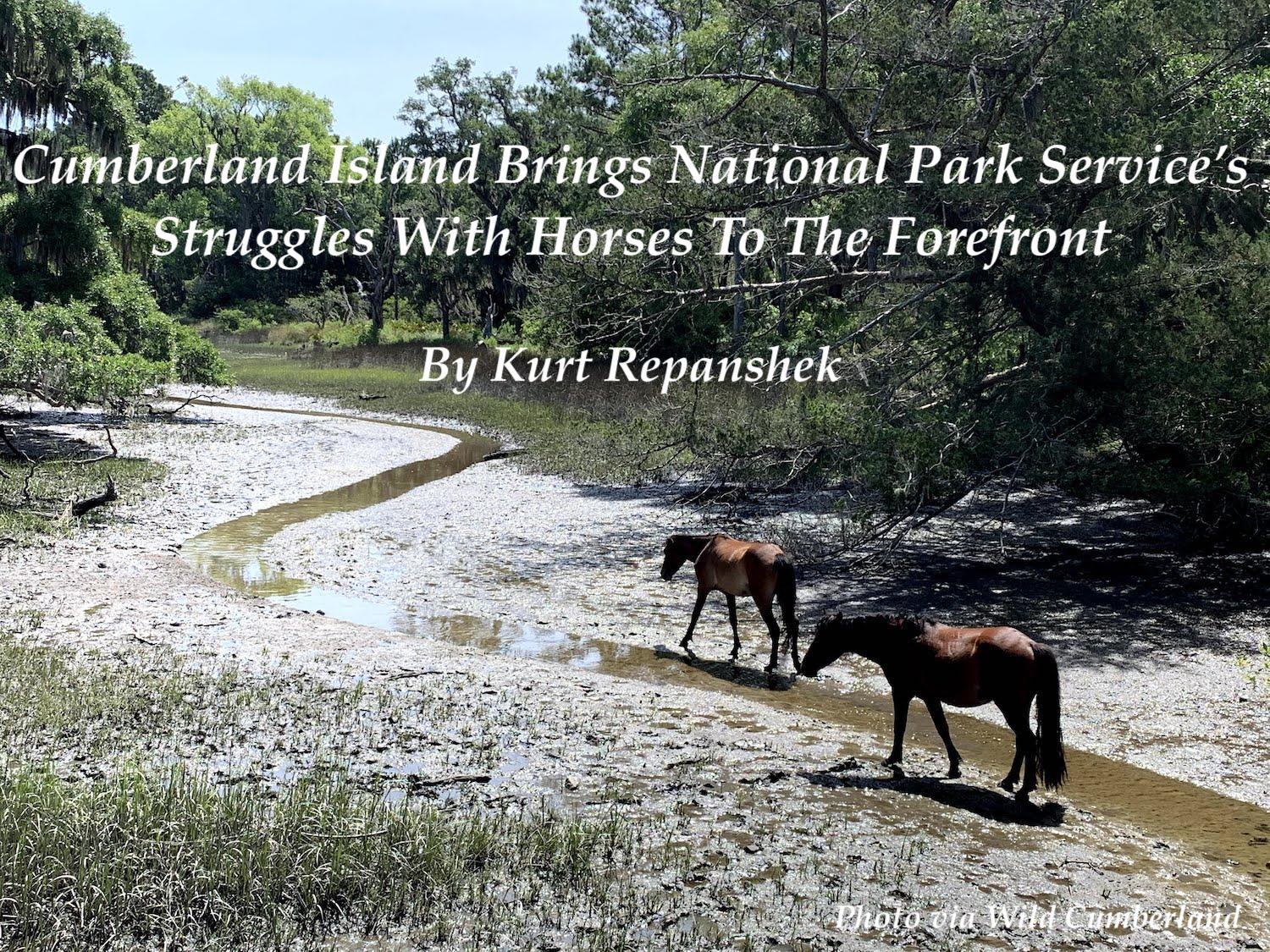 Should the National Park Service keep horses at Cumberland Island National Seashore?/Wild Cumberland