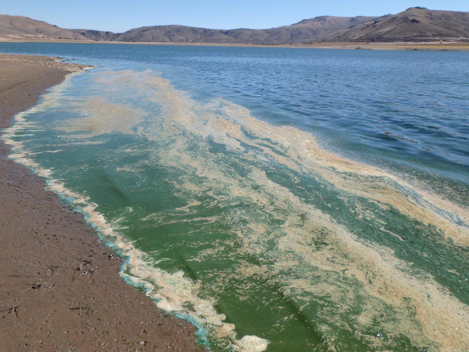 Toxic Algal Blooms Challenging National Parks