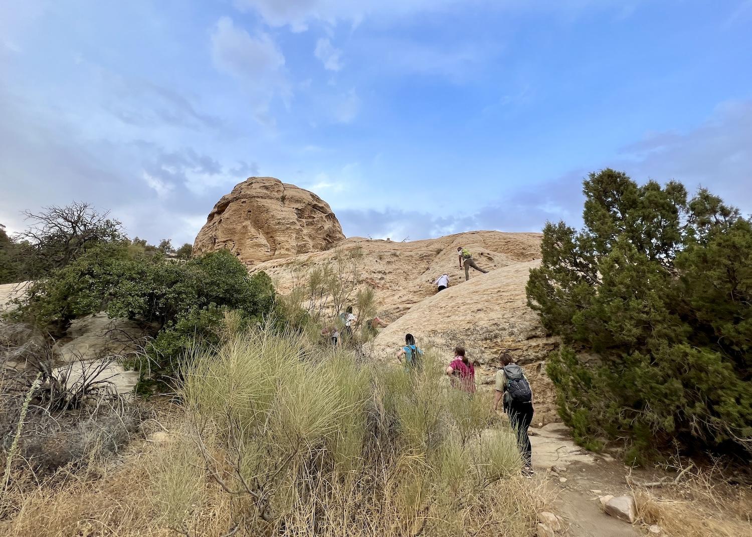 A gentle hike in Dana Biosphere Reserve passes interesting rock formations.