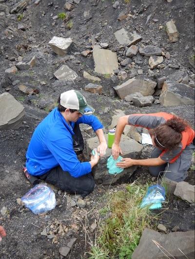 Making a mold of dinosaur tracks in Denali National Park/Pat Druckenmiller