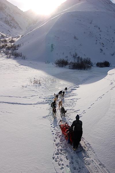 Dogsledding at Denali National Park/NPS