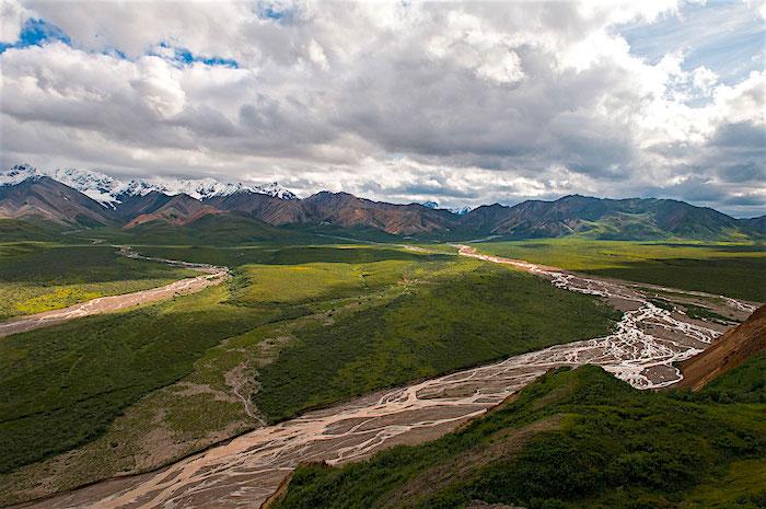 A warming climate could bring dozens of new bird species to Denali National Park/NPS, Tim Rains