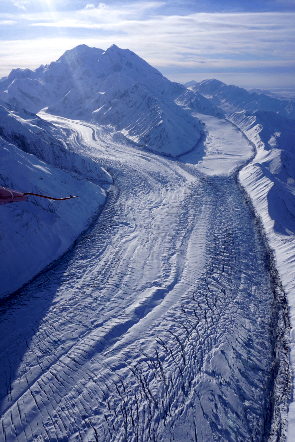 The Muldrow Glacier at Denali National Park recently began "surging" downhill/Chris Palms via NPS.