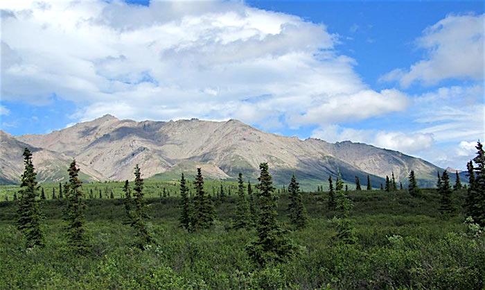 View from Savage River Campground, Denali National Park/NPS