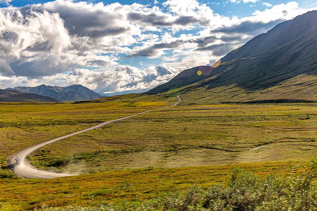 The Denali Park Road, Denali National Park and Preserve / Rebecca Latson