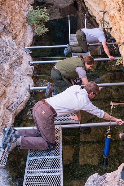 "There's one!"...Counting pupfish at Devils Hole/NPS