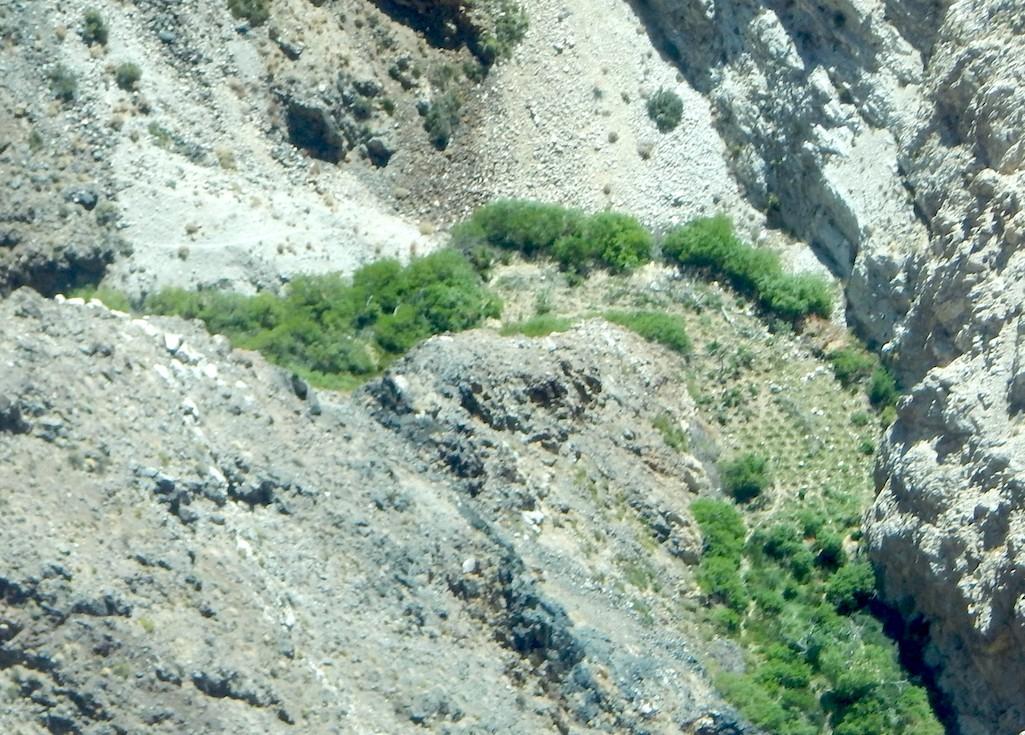 Aerial view of pot farm discovered in a remote area of Death Valley National Park/NPS