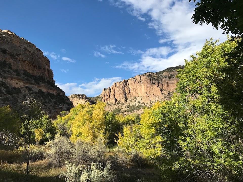 A fall day in Jones Hole Canyon/Jim Stratton