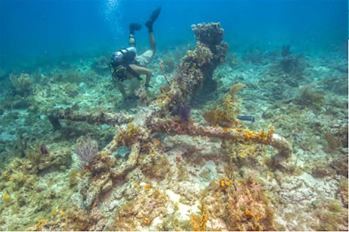 Diving at Dry Tortugas National Park means exploring reefs teeming with colorful fish as well as long ago wrecks / NPS