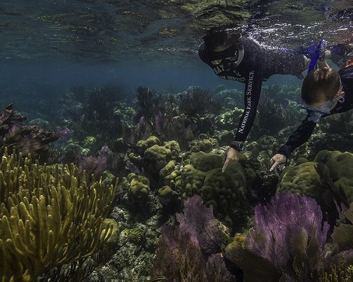 Dry Tortugas' waters are rife with coral reefs that attract snorkelers and scuba divers/NPS, Brett Seymour