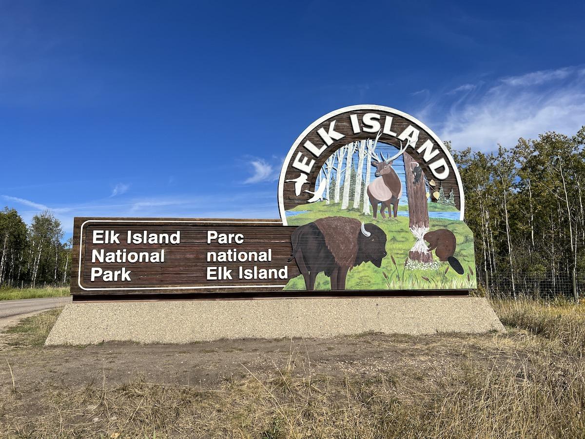 Elk Island is the only fully fenced national park in Canada and it's separated into two areas on either side of a highway.