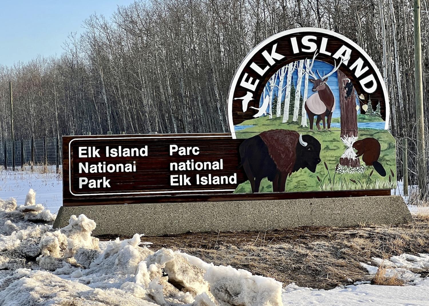 Despite what the name suggests, Elk Island National Park near Edmonton, Alberta is known for its bison.