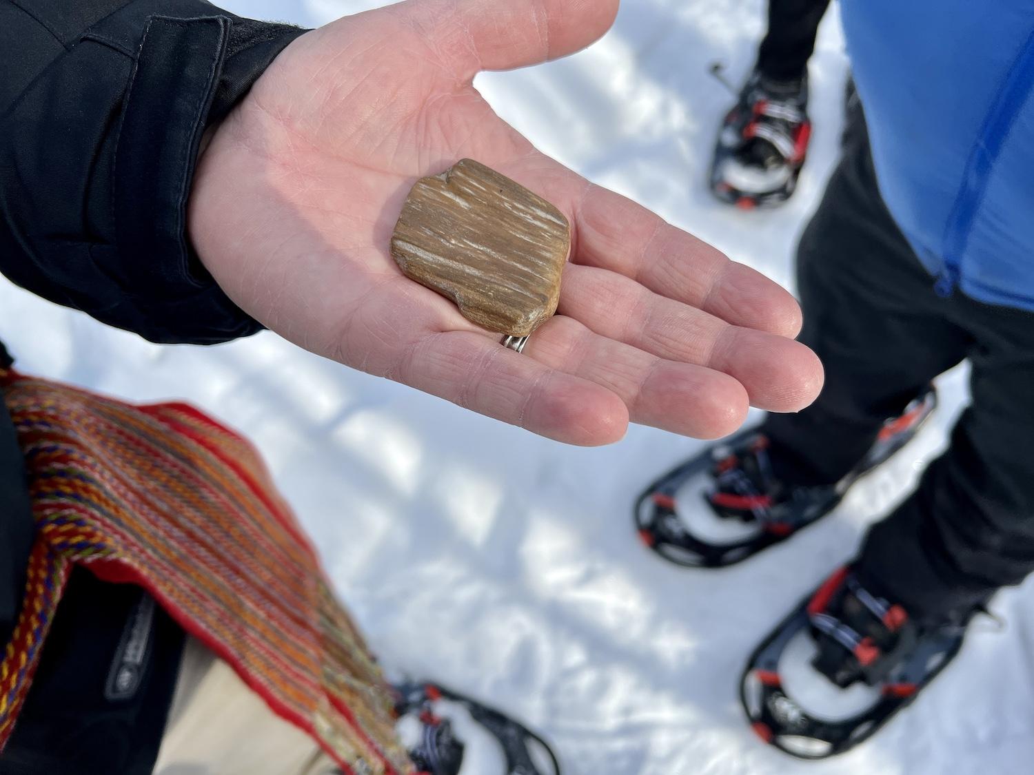 Talking Rock Tours founder Keith Diakiw, a geologist, shows off a piece of petrified wood.