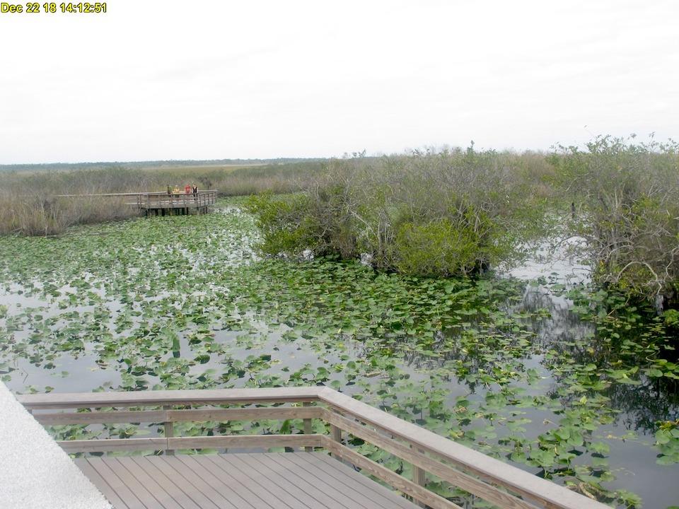 The Anhinga Trail at Everglades National Park was not crowded Saturday/NPS