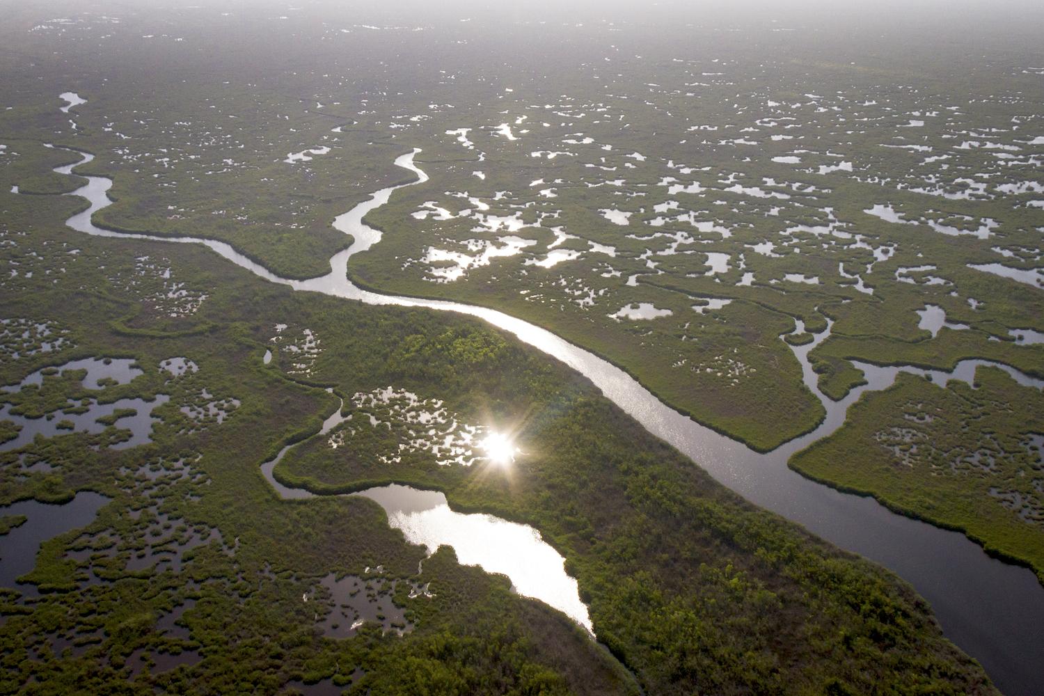 A healthy Everglades requires a healthy flow of water through the "river of grass."/Mac Stone photo