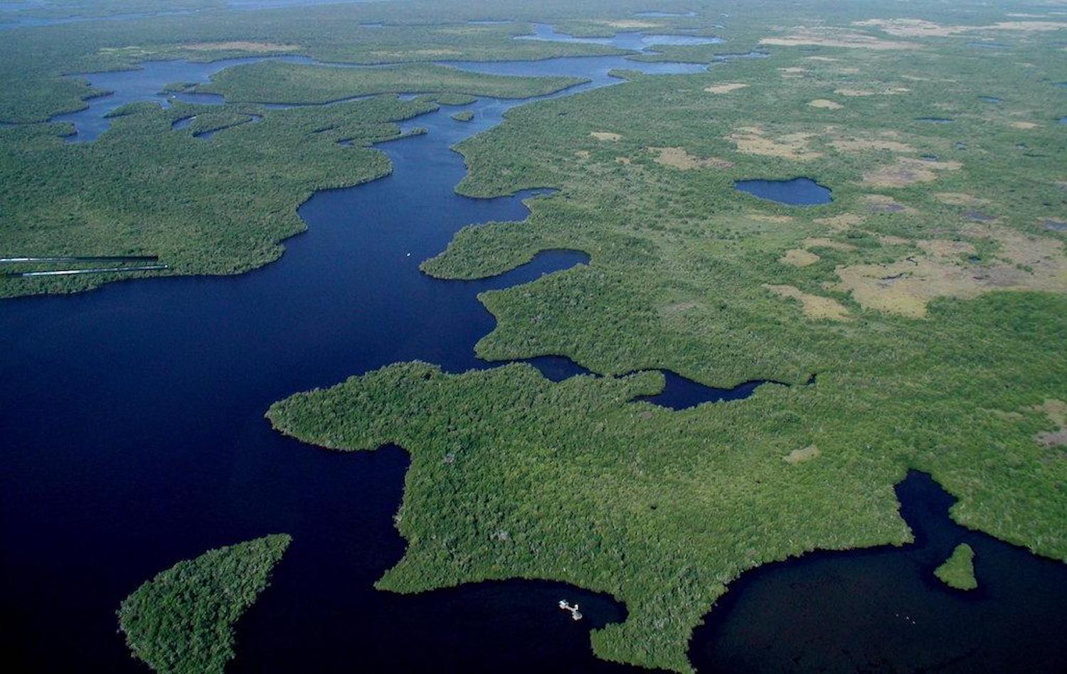 The health of the Everglades depends on restoration of the "river of grass," but outside scientists are worried that climate-change impacts are not being taken into account by those working on restoration/NPS file