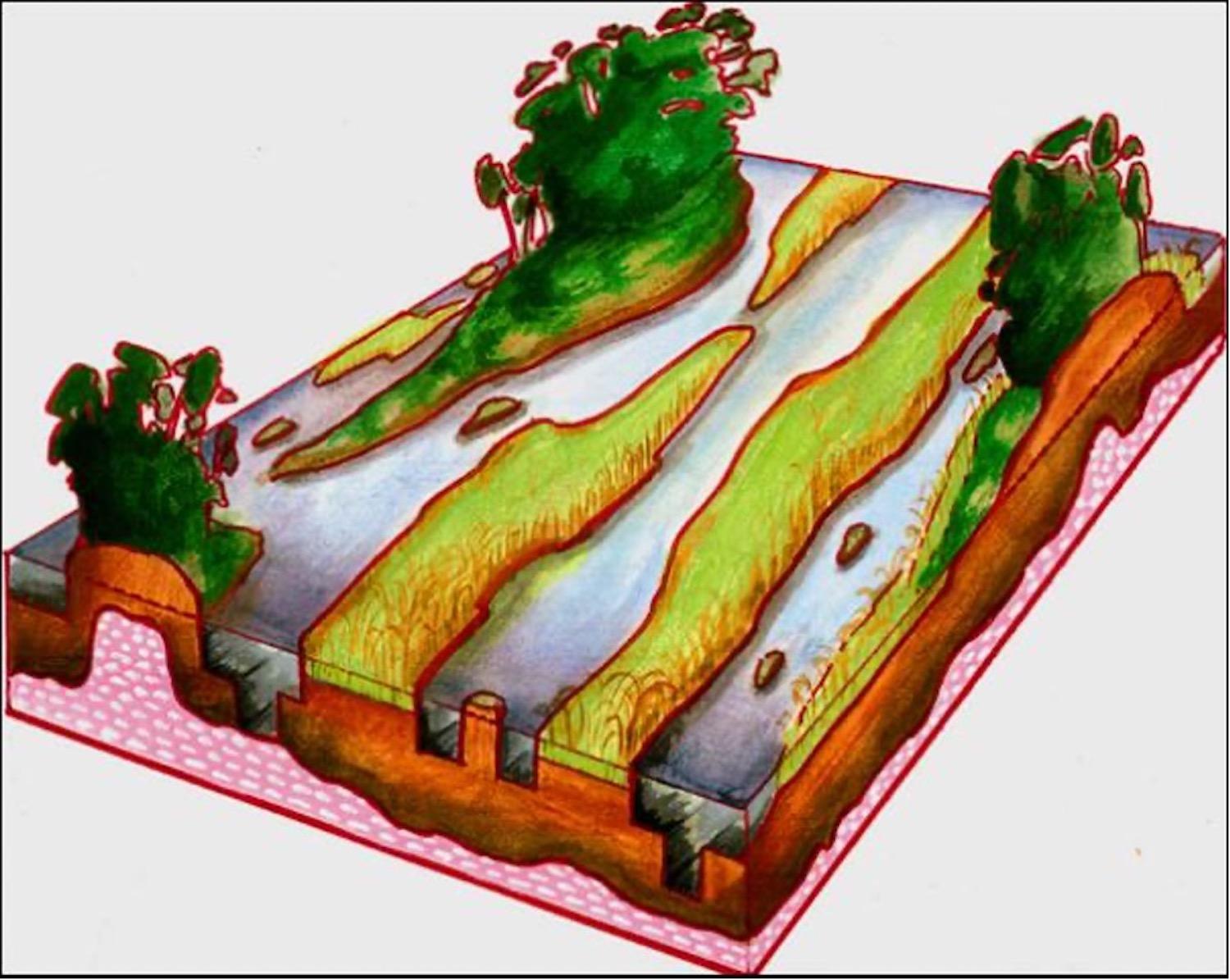 An illustration of the Everglades ridge and slough landscape showing features like tree islands and water flow paths (The Ridge and Slough drawing modified from original conceptualized by Chris McVoy, SCT 2003).  
