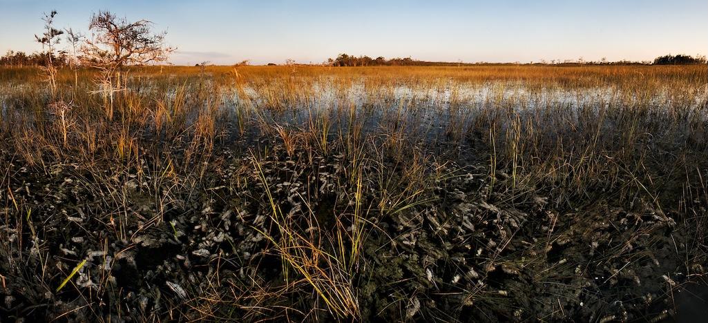 The facility that houses the National Park Service's staff working on restoration of the River of Grass at Everglades National Park is targeted for closure by the Trump administration/NPs file, Brian Call