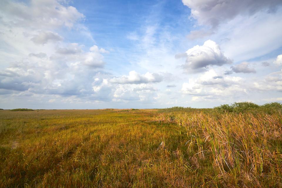 Everglades National Park was among several units of the National Park System that have released reopening plans/NPS