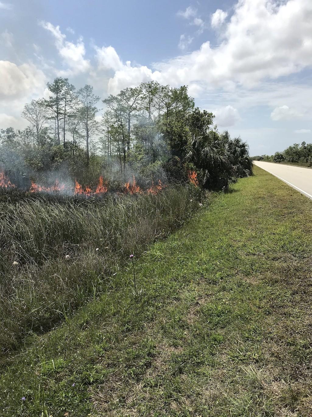 A $10,000 reward is being offered for information leading to the conviction of those responsible for starting fires in Everglades National Park/NPS