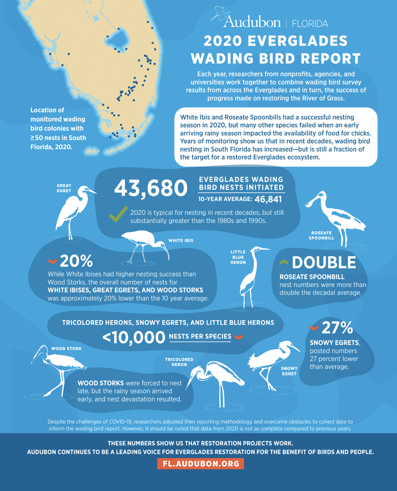 Everglades 2020 wade bird nesting summary/Florida Audubon