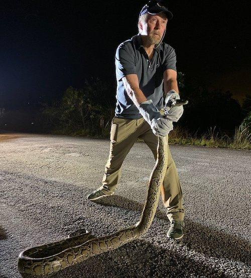 Rob Wallace grasps a Burmese python in South Florida/Interior