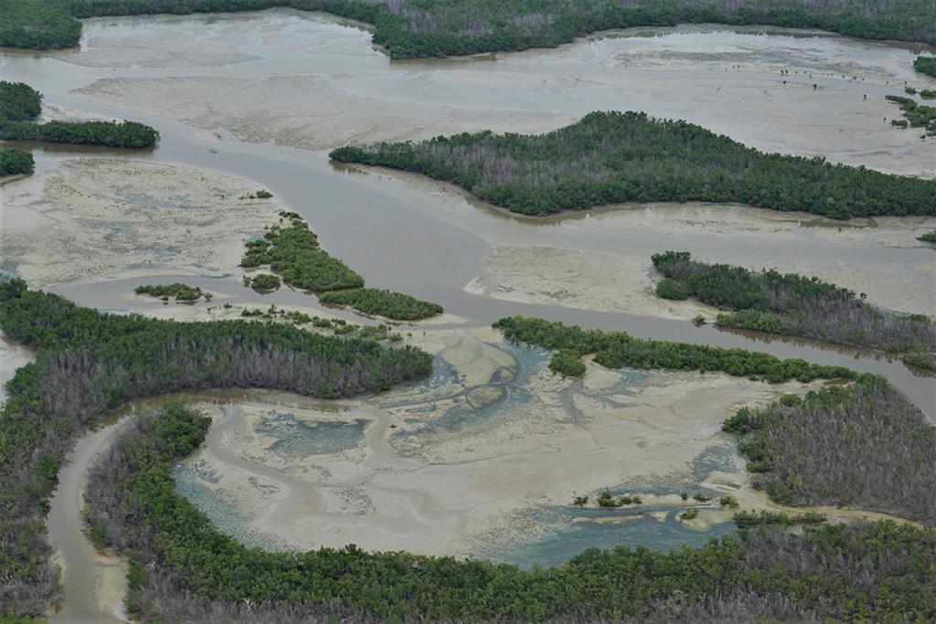 An aerial view of Marjory Stoneman Douglas Wilderness, Everglades National Park / NPS-Denise Diaz