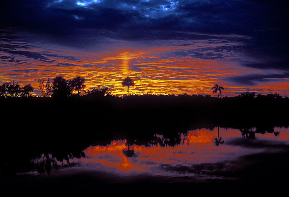 Sunrise in the palms, Everglades National Park / NPS - Van Nimwegen