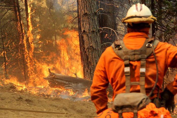 Ferguson Fire near Yosemite National Park, 8-2-18 USFS Jim Bartlett