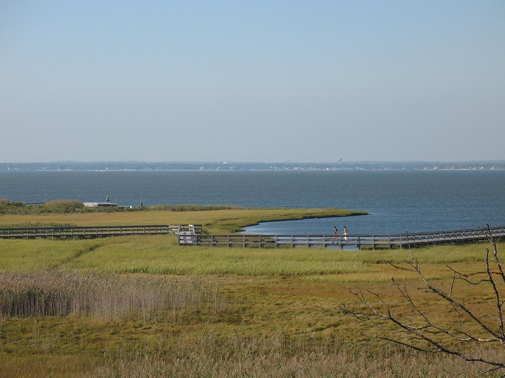 Watch Hill saltmarsh, Fire Island National Seashore / National Park Service