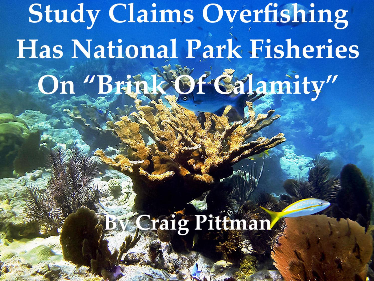 Overfishing has national park fisheries in Florida on &quot;brink of calamity, according to a new study/NOAA