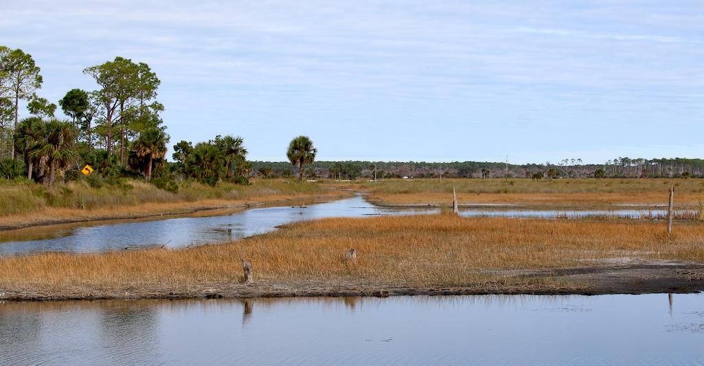 The Florida Wildlife Corridor is an ambitious proposal that, in theory, would link St. Marks National Wildlife Refuge to Everglades National Park/Erika Zambello