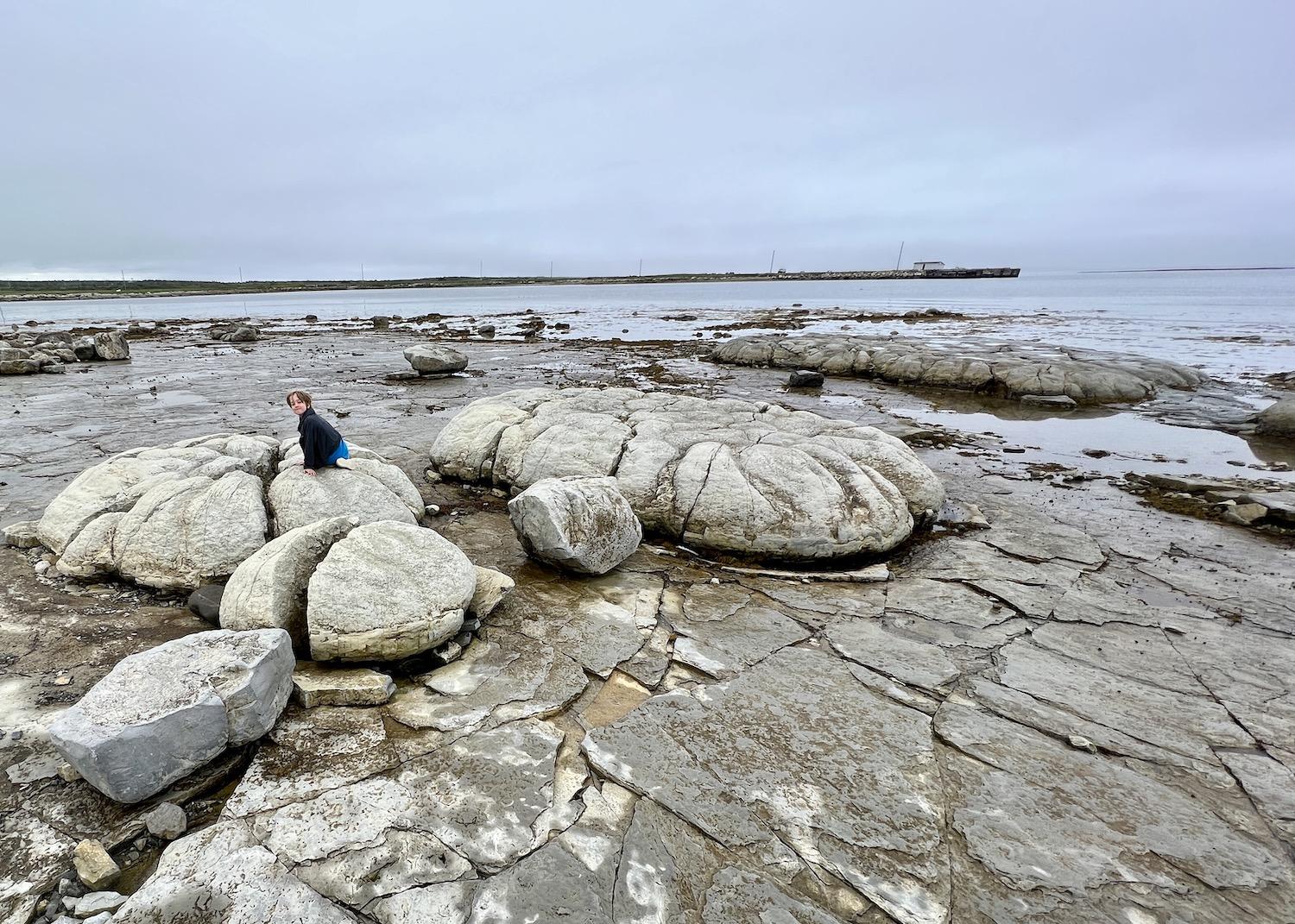 Flowers Cove is one of two places in the world to see 650-million-year-old fossil structures called thrombolites.