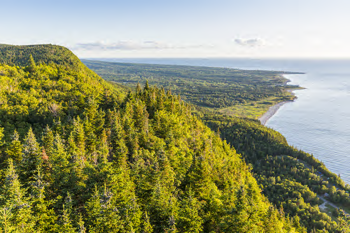 Ninety-five per cent of Forillon National Park is forest.