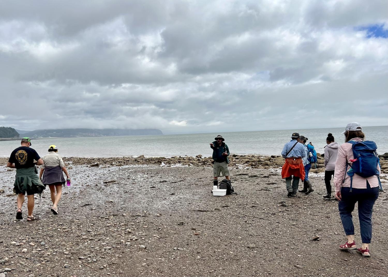 Visitors explore the Bay of Fundy at low tide with a Parks Canada interpreter in Fundy National Park.
