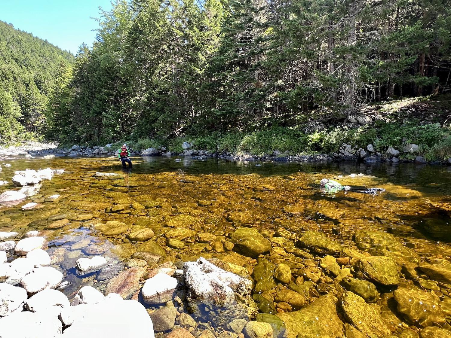 Parks Canada's John Robinson watches as writer Jennifer Bain snorkels in the Upper Salmon River in Fundy National Park looking for Atlantic salmon.