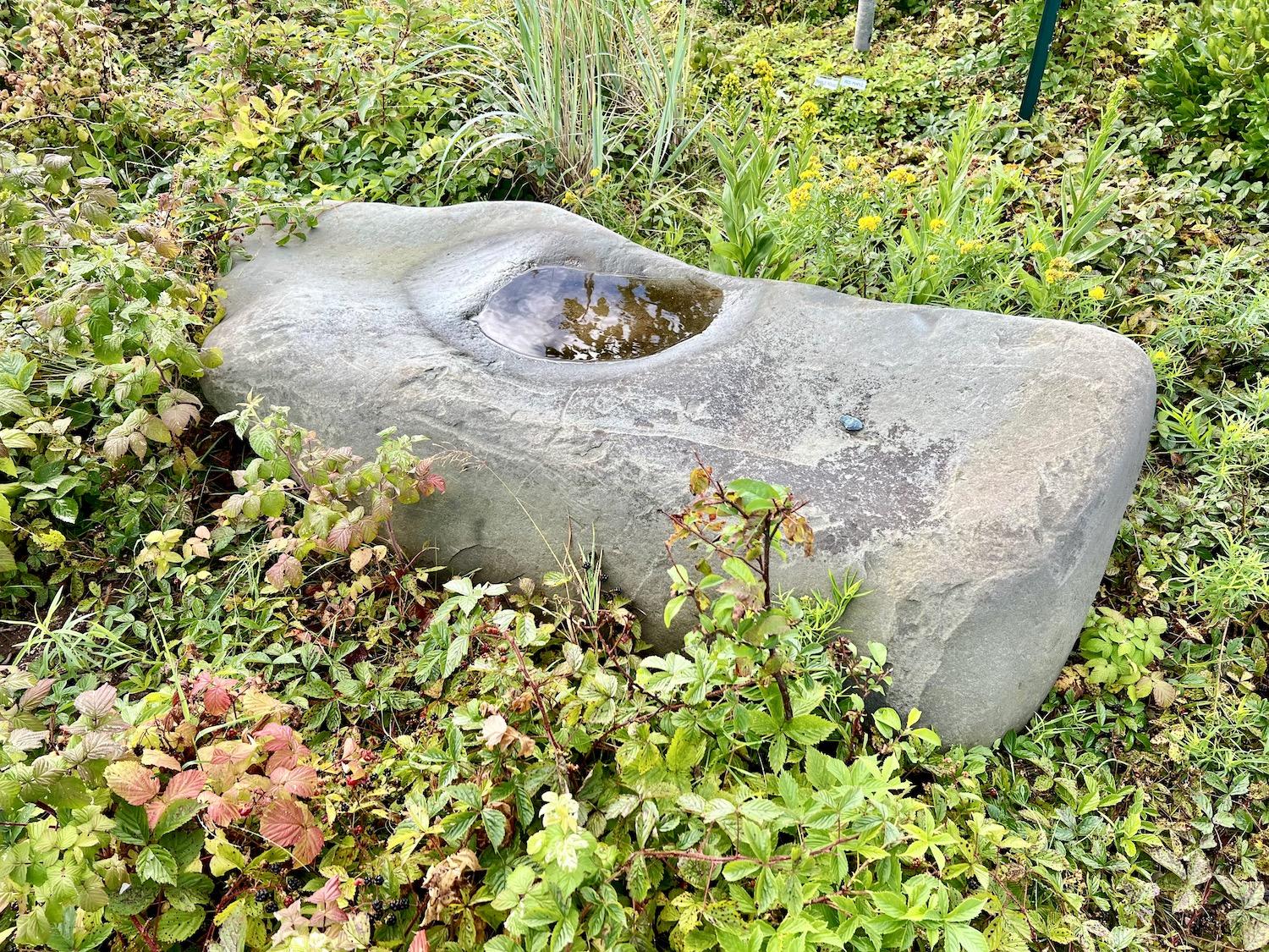 This rock has a natural indent that serves as a water feature.