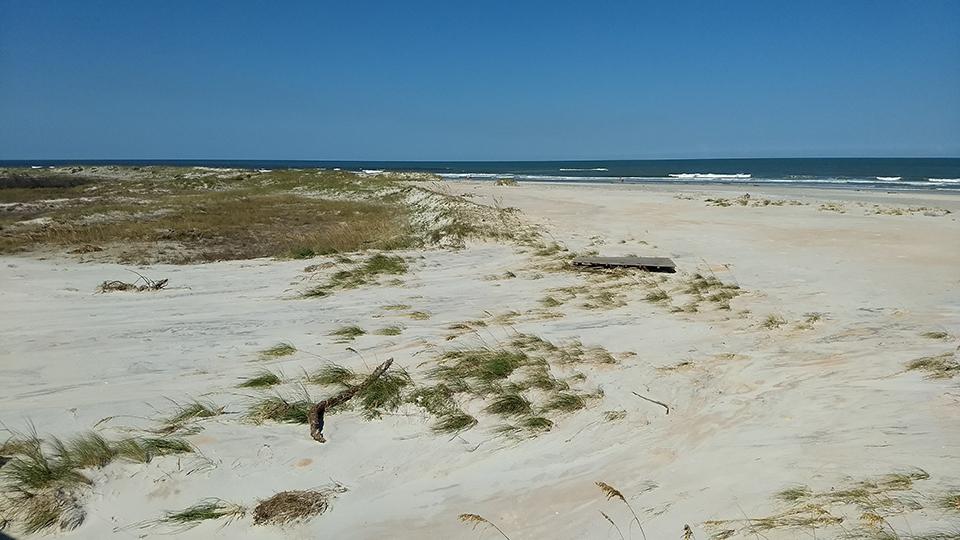 Hurricane debris at Fort Matanzas/Chris Farrell. Hurricane debris at Fort Matanzas/Chris Farrell.