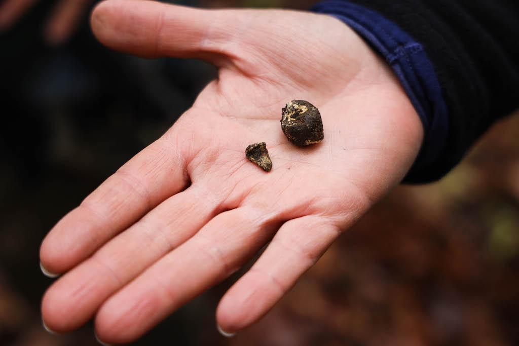 One of the 18th century bullets recently discovered at Fort Necessity National Battlefield/NPS