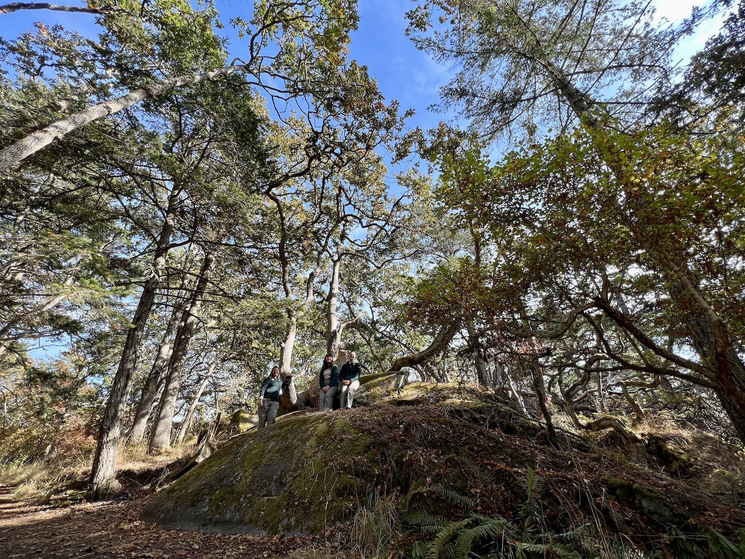 Parks Canada's Aimée Pelletier, Anna Lee and Ashley Everitt pose by the Gnarly Oak on the Historic Nature Trail at Fort Rodd Hill and Fisgard Lighthouse National Historic Sites.