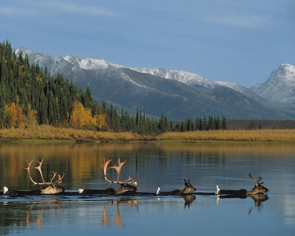 The Kobuk River in Gates of the Arctic National Park and Preserve is one of the country's 10 most endangered rivers for 2024, according to American Rivers/Nick Jans