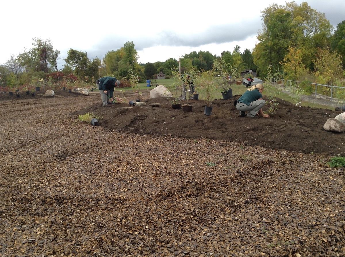 At Georgian Bay Islands National Park, staff plant pollinator-friendly gardens.