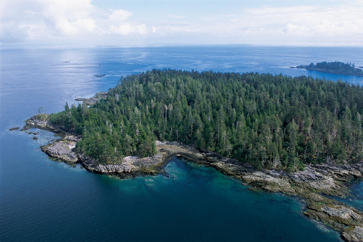 An aerial view of an island in Gwaii Haanas National Park Reserve.