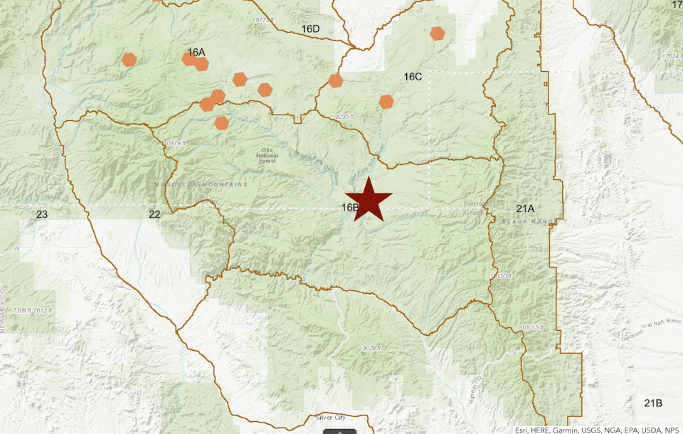Mexican wolves are roaming the Gila National Forest Near Gila Cliff Dwellings National Monument in New Mexico. The red star marks the approximate location of the national monument. The hexigons mark were wolves were spotted in early March 2020.