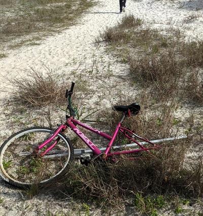 gulf islands national seashore, beach, florida, cleanup, bicycle