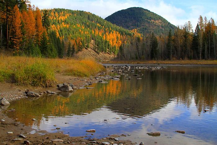 Belton Mountains, Middle Fork of the Flathead River in Fall/NPS, David Restivo